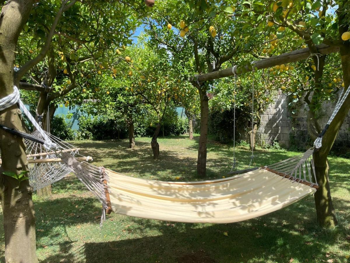 Casa Sorrento, Immerso Nel Verde A Pochi Passi Dal Centro Exteriör bild