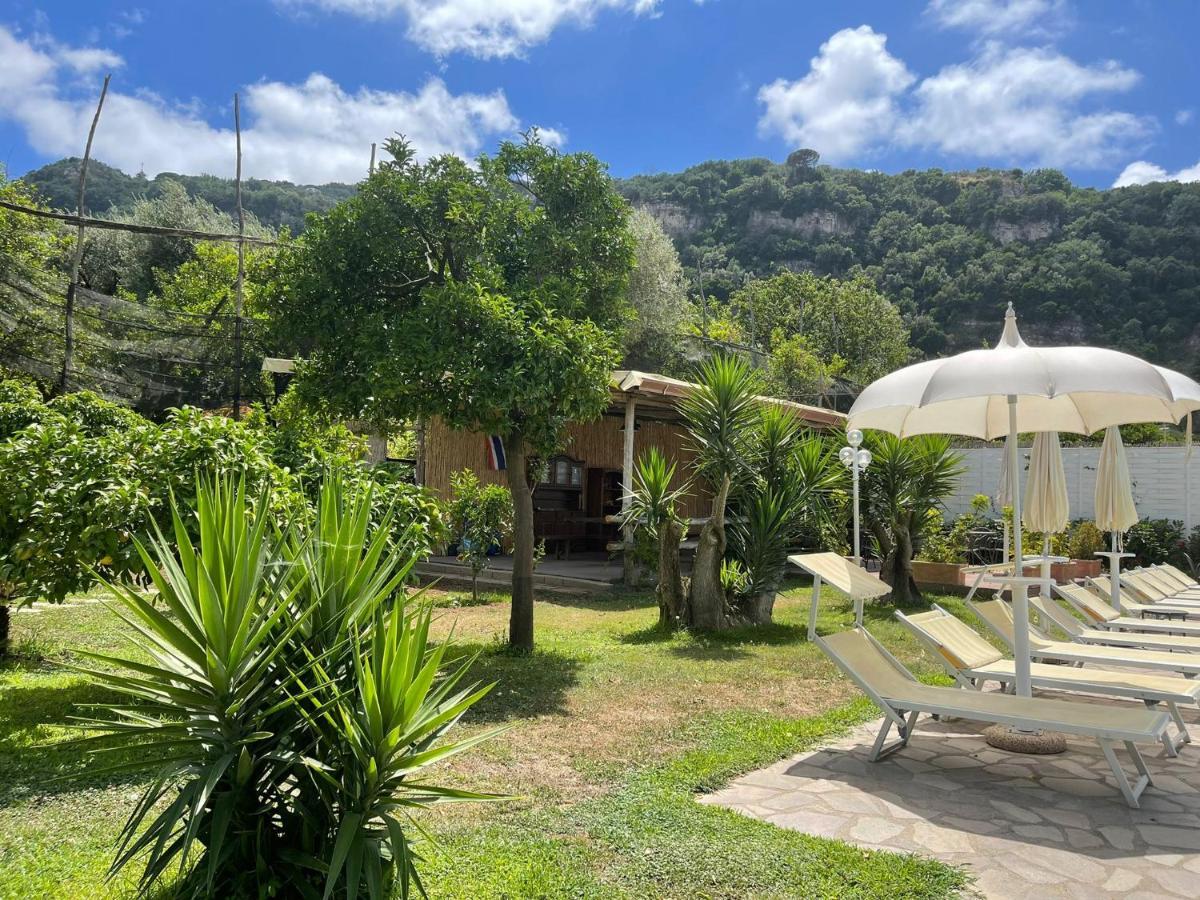 Casa Sorrento, Immerso Nel Verde A Pochi Passi Dal Centro Exteriör bild