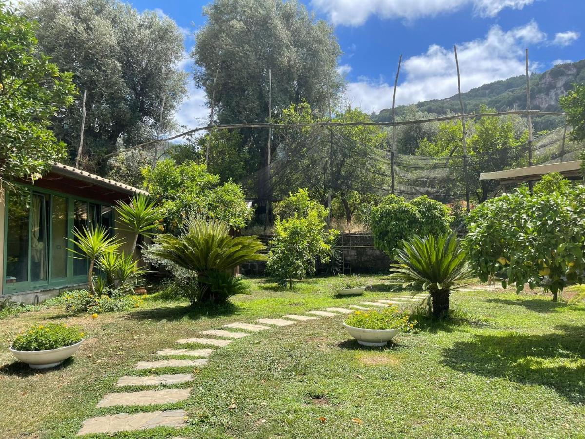 Casa Sorrento, Immerso Nel Verde A Pochi Passi Dal Centro Exteriör bild