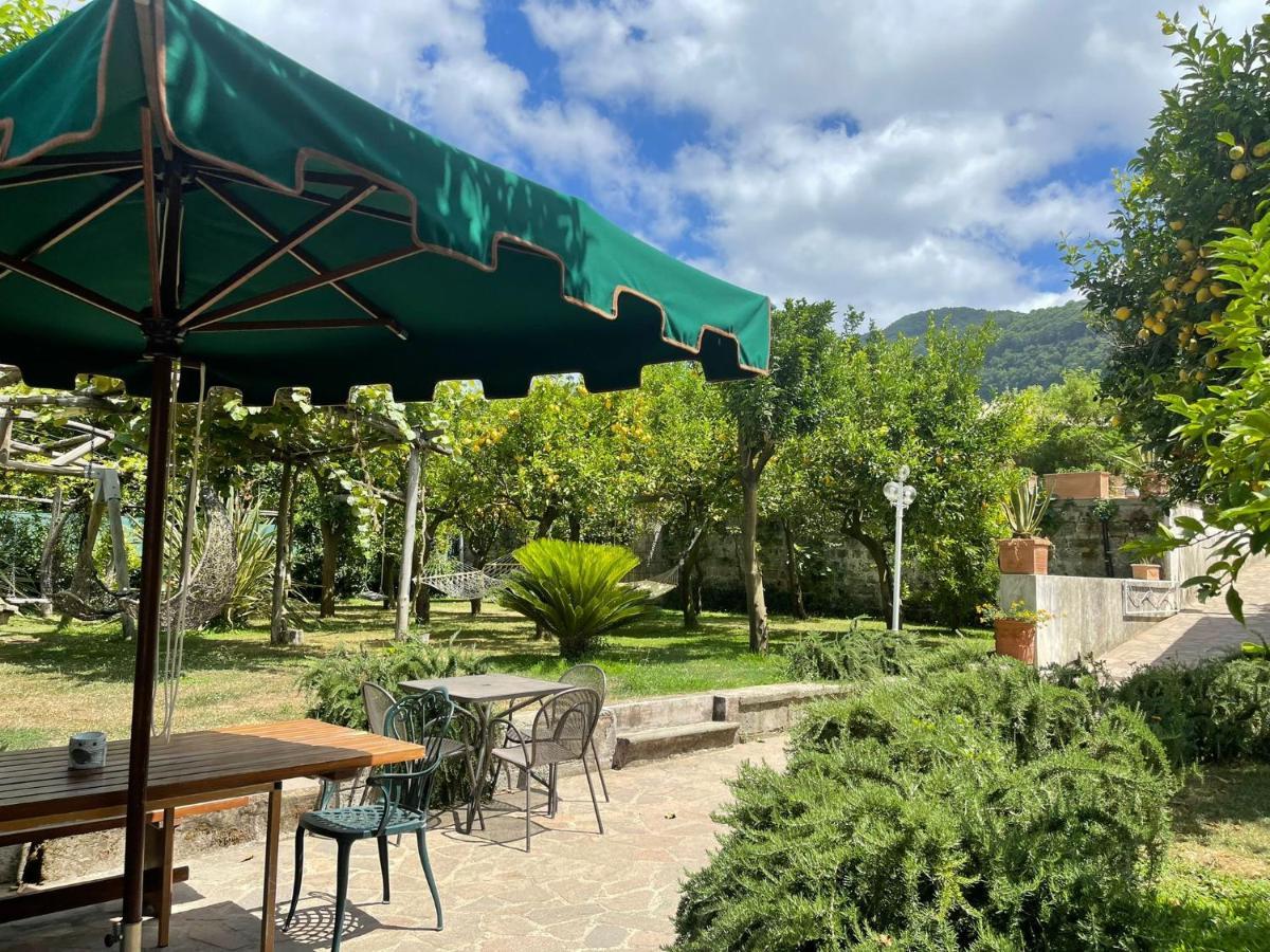 Casa Sorrento, Immerso Nel Verde A Pochi Passi Dal Centro Exteriör bild