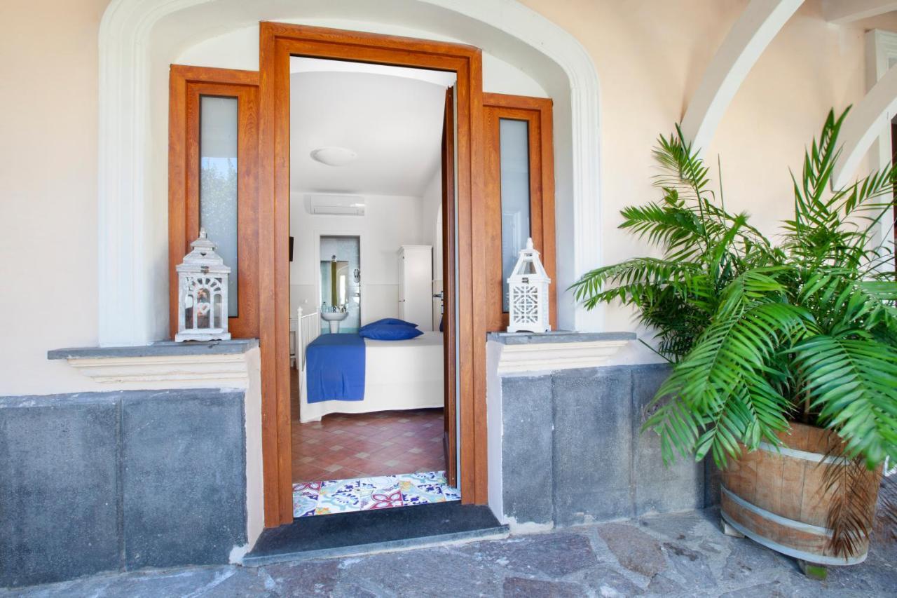 Casa Sorrento, Immerso Nel Verde A Pochi Passi Dal Centro Exteriör bild